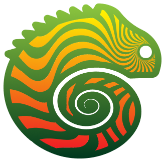 Projet Caméléon